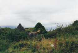 IMG_20180110_0037.jpg IMG_20180110_0037.jpg