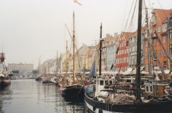 IMG_20180111_0004.jpg IMG_20180111_0004.jpg