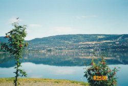 IMG_20180111_0035.jpg IMG_20180111_0035.jpg