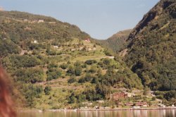 IMG_20180111_0059.jpg IMG_20180111_0059.jpg