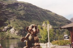 IMG_20180111_0074.jpg IMG_20180111_0074.jpg