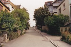 IMG_20180111_0079.jpg IMG_20180111_0079.jpg