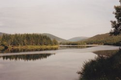 IMG_20180112_0002.jpg IMG_20180112_0002.jpg