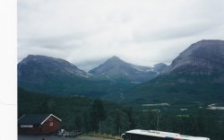 IMG_20180113_0004.jpg IMG_20180113_0004.jpg