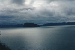 IMG_20180113_0011.jpg IMG_20180113_0011.jpg