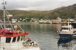 IMG_20180113_0015.jpg IMG_20180113_0015.jpg