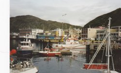 IMG_20180113_0016.jpg IMG_20180113_0016.jpg