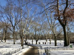 63DA59CF-C105-467A-856D-B903820B4FC1.jpeg 63DA59CF-C105-467A-856D-B903820B4FC1.jpeg