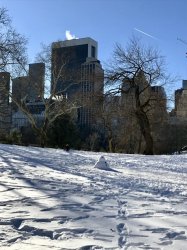 ECA249B1-4574-4FF4-A242-4C4729594FFD.jpeg ECA249B1-4574-4FF4-A242-4C4729594FFD.jpeg