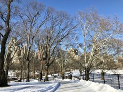 8A7C8371-4CEF-4970-BA65-77CFF8D2F04D.jpeg 8A7C8371-4CEF-4970-BA65-77CFF8D2F04D.jpeg