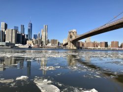 D18D167A-DF26-4122-B067-130F653F5889.jpeg D18D167A-DF26-4122-B067-130F653F5889.jpeg