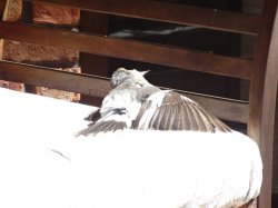 DSC07812.JPG DSC07812.JPG