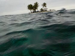 F6B813DA-CB16-4C0F-ABA3-29236134B441.jpeg F6B813DA-CB16-4C0F-ABA3-29236134B441.jpeg