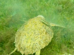 A17BF6C9-21D0-4752-9BFB-431C1AFD5B93.jpeg A17BF6C9-21D0-4752-9BFB-431C1AFD5B93.jpeg