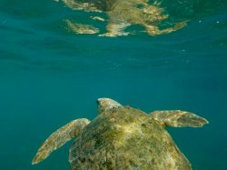 443265C9-2E17-4B54-BFF7-0BC2215077E9.jpeg 443265C9-2E17-4B54-BFF7-0BC2215077E9.jpeg