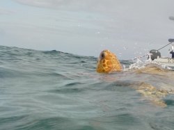 A6EAF1C0-487A-455F-B92A-5C6787736C69.jpeg A6EAF1C0-487A-455F-B92A-5C6787736C69.jpeg