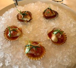 328A9968-5817-4BD4-8619-659FF9F5E814.jpeg 328A9968-5817-4BD4-8619-659FF9F5E814.jpeg