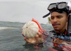 E865CDE1-B4DE-4179-84C3-A1F07D2A741D.jpeg E865CDE1-B4DE-4179-84C3-A1F07D2A741D.jpeg