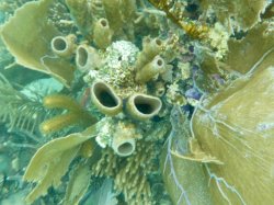 6B0DE6B2-679D-4D23-8D4F-1F6ADC20FE82.jpeg 6B0DE6B2-679D-4D23-8D4F-1F6ADC20FE82.jpeg