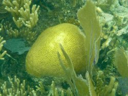 3F739A7C-6688-42A2-9A35-7A009503AC7A.jpeg 3F739A7C-6688-42A2-9A35-7A009503AC7A.jpeg