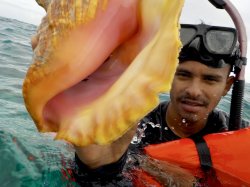 82AF21A7-CCBB-4F41-9A83-64804C12083E.jpeg 82AF21A7-CCBB-4F41-9A83-64804C12083E.jpeg