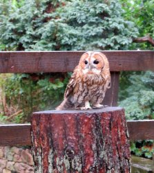 IMG_9344.jpg IMG_9344.jpg