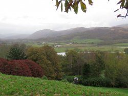 IMG_9546.jpg IMG_9546.jpg