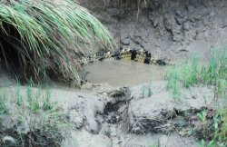 46580012.JPG 46580012.JPG