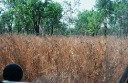 46580033.JPG 46580033.JPG