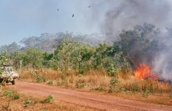 46590007.JPG 46590007.JPG