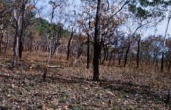 46590010.JPG 46590010.JPG