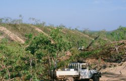 46590011.JPG 46590011.JPG