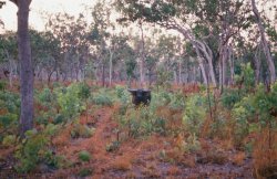 46590017.JPG 46590017.JPG