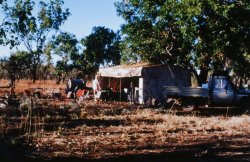 63070009.JPG 63070009.JPG