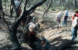 63080013.JPG 63080013.JPG