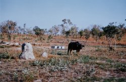 63080017.JPG 63080017.JPG