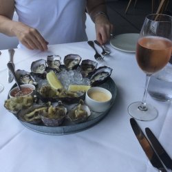 82A7281F-3639-42D1-AAF0-8A8675BF9692.jpeg 82A7281F-3639-42D1-AAF0-8A8675BF9692.jpeg