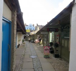 IMG_9583.jpg IMG_9583.jpg