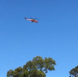 IMG_3800~2.jpg IMG_3800~2.jpg