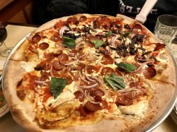 4192A00E-0718-4DE6-9E9D-0DD05A54368F.jpeg 4192A00E-0718-4DE6-9E9D-0DD05A54368F.jpeg