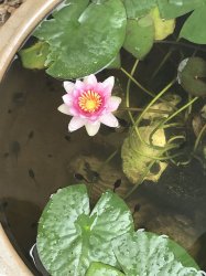 E05769CF-919C-4D14-8201-E0BFE8DA71AA.jpeg E05769CF-919C-4D14-8201-E0BFE8DA71AA.jpeg