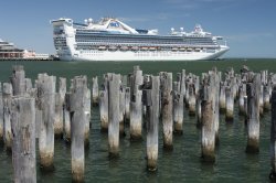 golden_princess_n7k2_20624.jpg golden_princess_n7k2_20624.jpg
