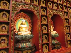 IMG_6407__1516940542_106.68.216.142.jpg IMG_6407__1516940542_106.68.216.142.jpg