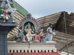 IMG_6469__1516940786_106.68.216.142.jpg IMG_6469__1516940786_106.68.216.142.jpg