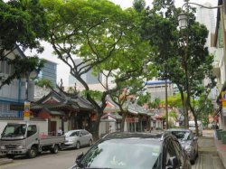 IMG_6488__1516941256_106.68.216.142.jpg IMG_6488__1516941256_106.68.216.142.jpg