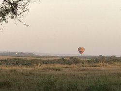 7258ED55-ADB4-4C35-A8AE-E06A20D05793.jpeg