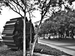 IMG_6523__1516953460_106.68.216.142.jpg IMG_6523__1516953460_106.68.216.142.jpg