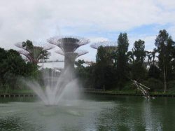 IMG_6567__1516963912_106.68.216.142.jpg IMG_6567__1516963912_106.68.216.142.jpg