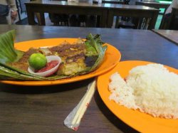 IMG_6705__1516969955_106.68.216.142.jpg IMG_6705__1516969955_106.68.216.142.jpg