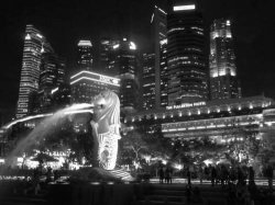 IMG_6768__1516970493_106.68.216.142.jpg IMG_6768__1516970493_106.68.216.142.jpg